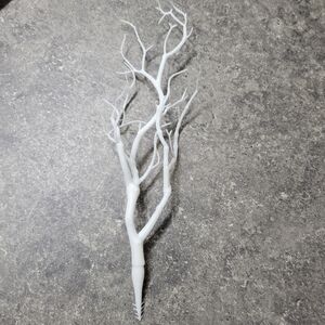 Elegant White Antler Branch Pack Of 10